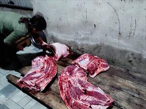 Nguy cơ gây mất an toàn thực phẩm từ cơ sở giết mổ gia súc, gia cầm không phép