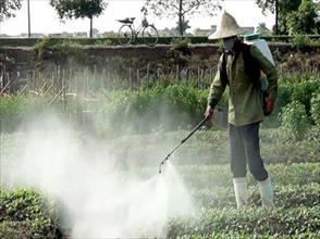 Để nông sản an toàn phải loại bỏ các chất cấm dùng trong nông nghiệp