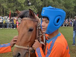 Đặc sắc Hội thi đua ngựa thồ không cần yên cương ở Phú Yên
