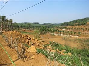 Đất trồng cây lâu năm ở xã Sơn Long dần biến thành khu du lịch sinh thái trái phép