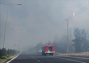 Phú Yên huy động hàng trăm người khống chế cháy rừng dương phòng hộ ven biển