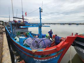 Phú Yên xử lý nghiêm các tàu cá “3 không”