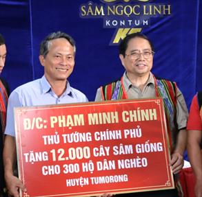 Thủ tướng Chính phủ tặng 12.000 cây giống sâm Ngọc Linh cho hộ nghèo ở Kon Tum