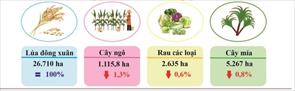 Phú Yên gieo cấy 26.710 ha lúa đông xuân
