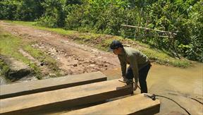 Khai thác gỗ trái phép làm quan tài tại huyện Thường Xuân