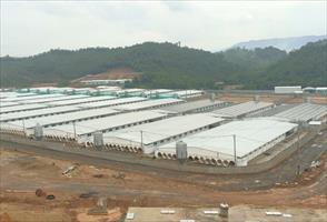 Thanh Hóa cấp phép môi trường cho trại lợn của Công ty cổ phần Đầu tư nông nghiệp Agri – Vina