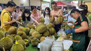 Cơ hội nào cho sầu riêng Việt tại thị trường Trung Quốc?