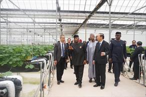 Thúc đẩy hợp tác nông nghiệp Việt Nam – Nigeria