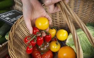 Hàng loạt siêu thị ở Anh hạn chế mua hoa quả và rau tươi