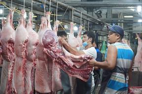 Giá thịt lợn tại TP. HCM tiếp tục giảm mạnh