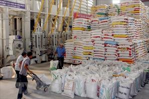 “Thiên thời, địa lợi” với doanh nghiệp lúa gạo Việt Nam