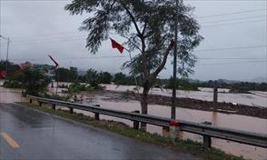 Nghệ An: Mưa lớn gây thiệt hại hơn 1.500ha lúa và 3.050ha hoa màu