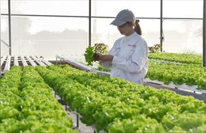 Ba chữ “biến” trong chuyển đổi nông nghiệp và vai trò của doanh nghiệp Việt Nam