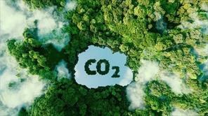 Việt Nam có thể bán 57 triệu tín chỉ carbon ra thế giới mỗi năm