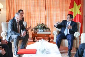 Thủ tướng thúc đẩy dự án 3.000 tỷ đồng chế biến tre Việt Nam