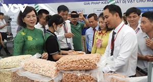 Kim ngạch xuất khẩu hạt điều nhân ở Bình Phước tăng 150%