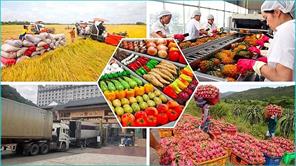 Xuất khẩu nông sản sang thị trường Trung Quốc tăng trưởng 2 con số