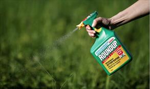 Thuốc diệt cỏ glyphosate được EU phê duyệt gia hạn sử dụng 10 năm