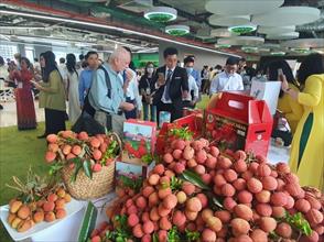 Nông sản Việt trên “đường đua” quốc tế
