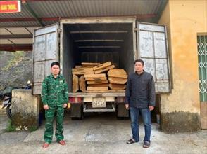 Phát hiện xe tải vận chuyển số lượng lớn gỗ “lậu” ở Huế