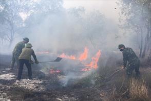 Hỏa hoạn làm thiệt hại 10 ha rừng phòng hộ ở Quảng Trị