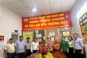 Lãnh đạo huyện Hóc Môn thăm, chúc Tết cán bộ, thành viên HTX rau sạch RASAFOOD
