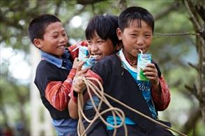 Nhìn lại 15 năm, Quỹ sữa Vươn cao Việt Nam và hành trình không thể quên