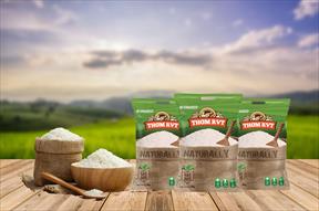 Gạo thơm RVT giành huy chương vàng chất lượng gạo quốc tế Trung Quốc - ASEAN