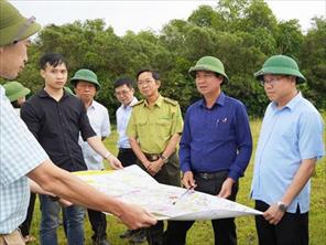 Quảng Trị đẩy nhanh tiến độ thực hiện dự án đường tránh phía Đông thành phố Đông Hà  