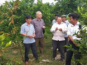 Hội Làm vườn huyện Quảng Ninh: Giúp hội viên tiêu thụ nông sản trong dịch Covid-19