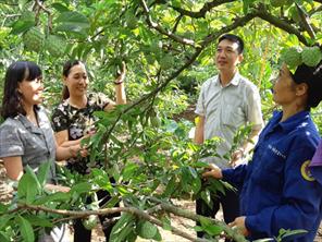 Hội Làm vườn Việt Nam đổi mới phương thức hoạt động, thích ứng để phát triển
