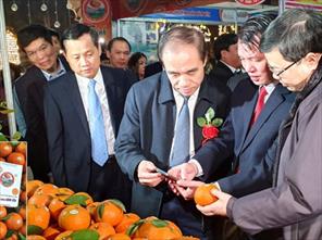 Sản xuất sản phẩm chất lượng, áp dụng công nghệ thông tin trong tiêu thụ: Hướng đi bền vững của nông nghiệp Tuyên Quang