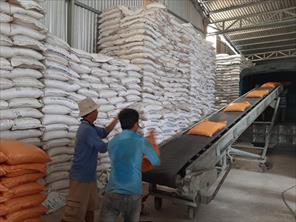 Gạo Việt Nam lên giá nhanh sau khi Ấn Độ cấm xuất gạo