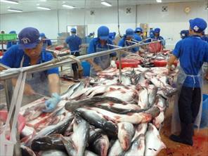 Xuất khẩu cá tra dần phục hồi và nỗ lực không để thiếu nguyên liệu trong năm 2022