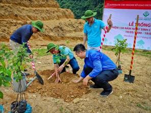 Agribank trồng 5.000 cây Lát phủ xanh đất trống đồi trọc