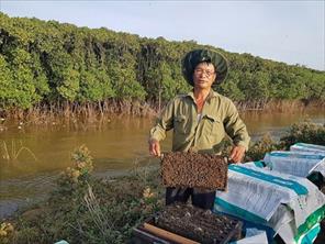 Nuôi ong trong rừng sú vẹt Đa Lộc: Giải pháp khai thác tài nguyên rừng