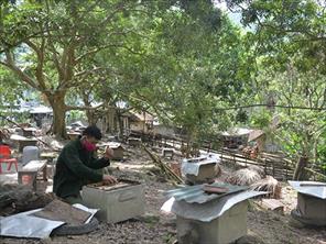 Tuyên Quang “gỡ khó” trong xây dựng vườn mẫu NTM