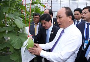 Thủ tướng thăm Khu học xá Trung ương và mô hình nông nghiệp công nghệ cao Trung Quốc