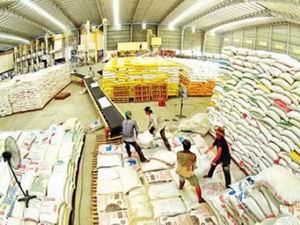 Đẩy mạnh thu mua, tiêu thụ lúa gạo hàng hóa