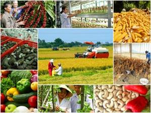Tái cơ cấu nông nghiệp phải gắn với phát triển, mở rộng thị trường