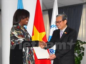 WFP mong muốn thúc đẩy quan hệ đối tác lâu dài với Việt Nam