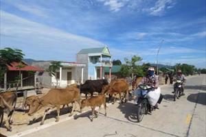 Huyện Krông Pa: Hơn 10 năm chưa có sổ đỏ, người dân kêu cứu khẩn thiết