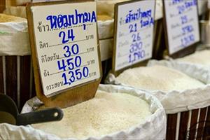 Sức ép từ nông sản Thái Lan: Làm gì để bảo vệ mình?