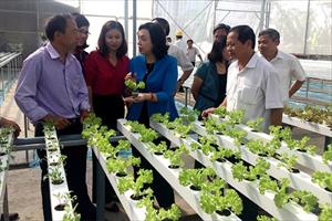 Phát triển nông nghiệp công nghệ cao ở Hà Nội: Tín hiệu khả quan