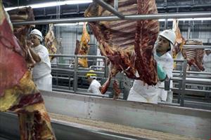 Doanh nghiệp Việt không nhập khẩu thịt từ 21 nhà máy chế biến thịt đang bị điều tra của Brazil