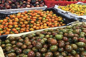 Nhiều mặt hàng nông sản giảm giá mạnh tại Lâm Đồng
