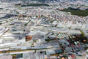 Hơn 178 tỷ đồng loại bỏ nhà kính không đạt chuẩn ở Lâm Đồng
