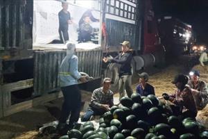 Nông dân Krông Pa lãi lớn vì giá dưa hấu tăng vọt