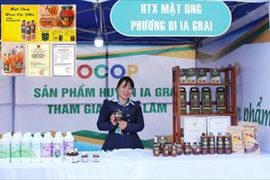 Gia Lai công bố 109 sản phẩm OCOP đạt 3-4 sao cấp tỉnh