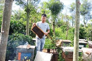 Mật ong PT Lâm Đồng hướng tới xuất khẩu và tạo doanh thu đột phá